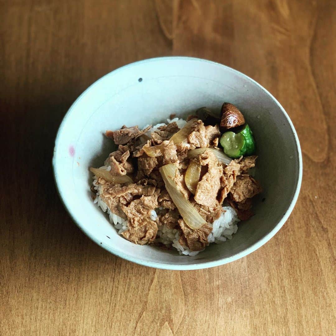 のインスタグラム：「プラントベースな牛丼  #ネクスト牛丼 #フェイクミート #代替肉 #プラントベース #肉ではない」