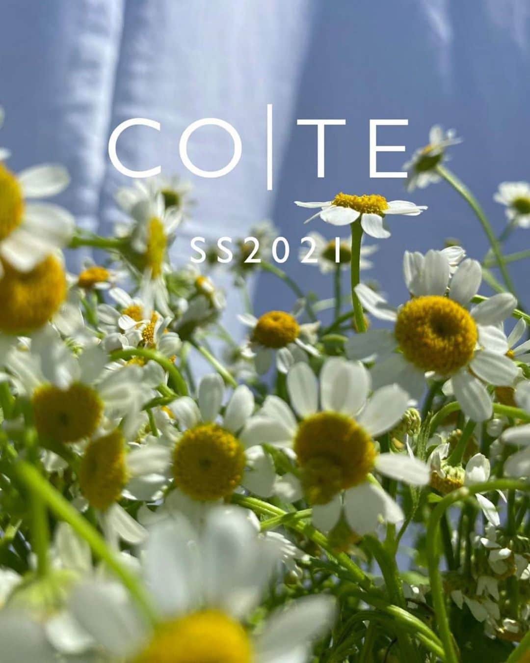 Taki Tanakaさんのインスタグラム写真 - (Taki TanakaInstagram)「COITE  COITEをバイイング。 #2021春夏コレクション   気持ちいいコットン素材のセットアップ。 大きなフリル、爽やかなストライプ、ウエストのボウ、裾のレース使い... 可愛いがいっぱい♡  #repost @cote.official ・・・ CO|TE SS*2021 {Ruffle Taffetà Top+Stripes Cotton Pant} #coteofficial #madeinitaly #ruffle #white #stripes #white #top #pant #ribbon  @iza_official  #izastagram」10月7日 11時29分 - tanakataki