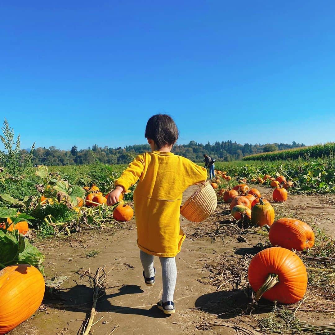 ヘリム・パクさんのインスタグラム写真 - (ヘリム・パクInstagram)「- 너의 첫 Pumpkin Patch🧡 . . . #리아 #pumpkinpatch」10月7日 11時37分 - iam_hyepark