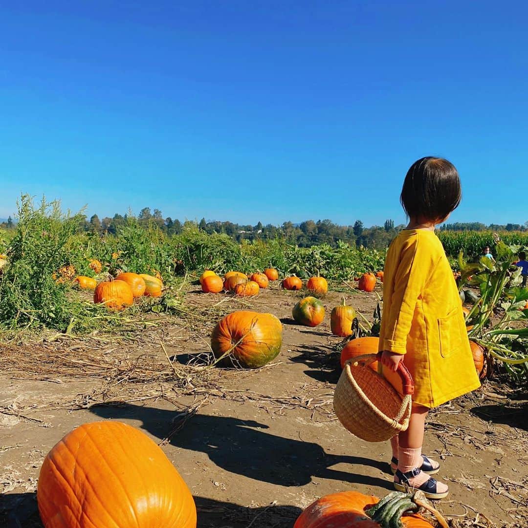 ヘリム・パクさんのインスタグラム写真 - (ヘリム・パクInstagram)「- 너의 첫 Pumpkin Patch🧡 . . . #리아 #pumpkinpatch」10月7日 11時37分 - iam_hyepark