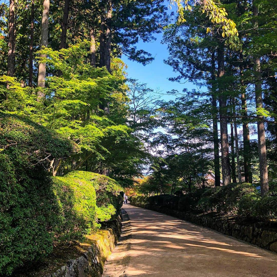 和みわかやまさんのインスタグラム写真 - (和みわかやまInstagram)「まもなく紅葉ですよ〜 例年10月下旬から11月上旬が見頃だそうです🍁行かねば📸 高野山、伽藍入口からの小道で蛇腹路（じゃばらみち）より  #nagomi_wakayama #wakayama #蘇りの地 #蘇りの地わかやま  #世界遺産 #紅葉 #空海 #壇上伽藍」10月7日 11時40分 - nagomi_wakayama_tourism