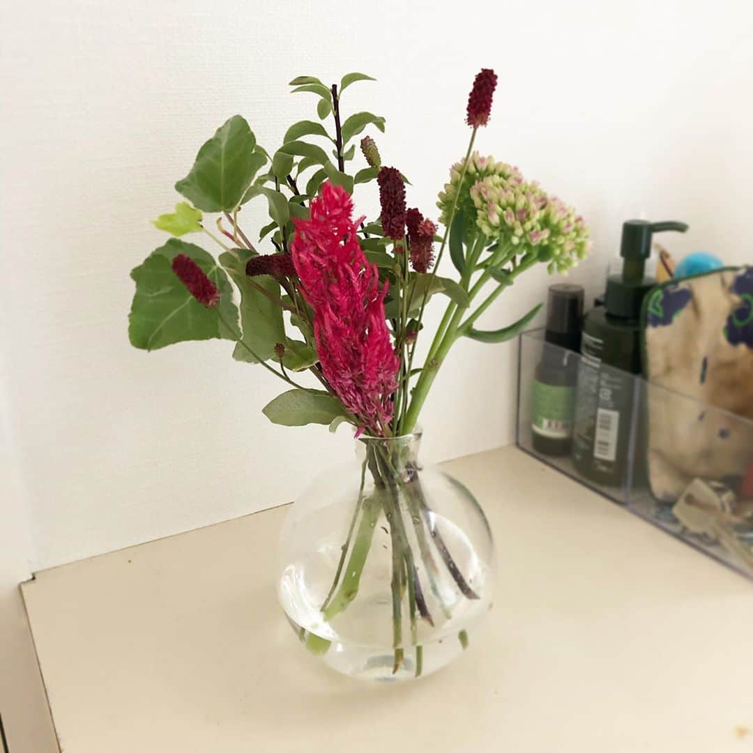 馬渕史香のインスタグラム：「3回目のブーケが届きました💐  今回は ケイトウ / セダム / ワレモコウ / ピット / アイビー  利用してるのは、ポストに届くお花の定期便FLOWER @flowr_is   ↓のコード入力で、通常1回の無料分が2回になるのでどうぞお使いください✨ 招待コード：B8GL  #あしざわ家 #赤ちゃんのいる生活  #お花のある生活 #flower #flower_is #お花の定期便 #お花便　#サブスク #サブスクリプション」