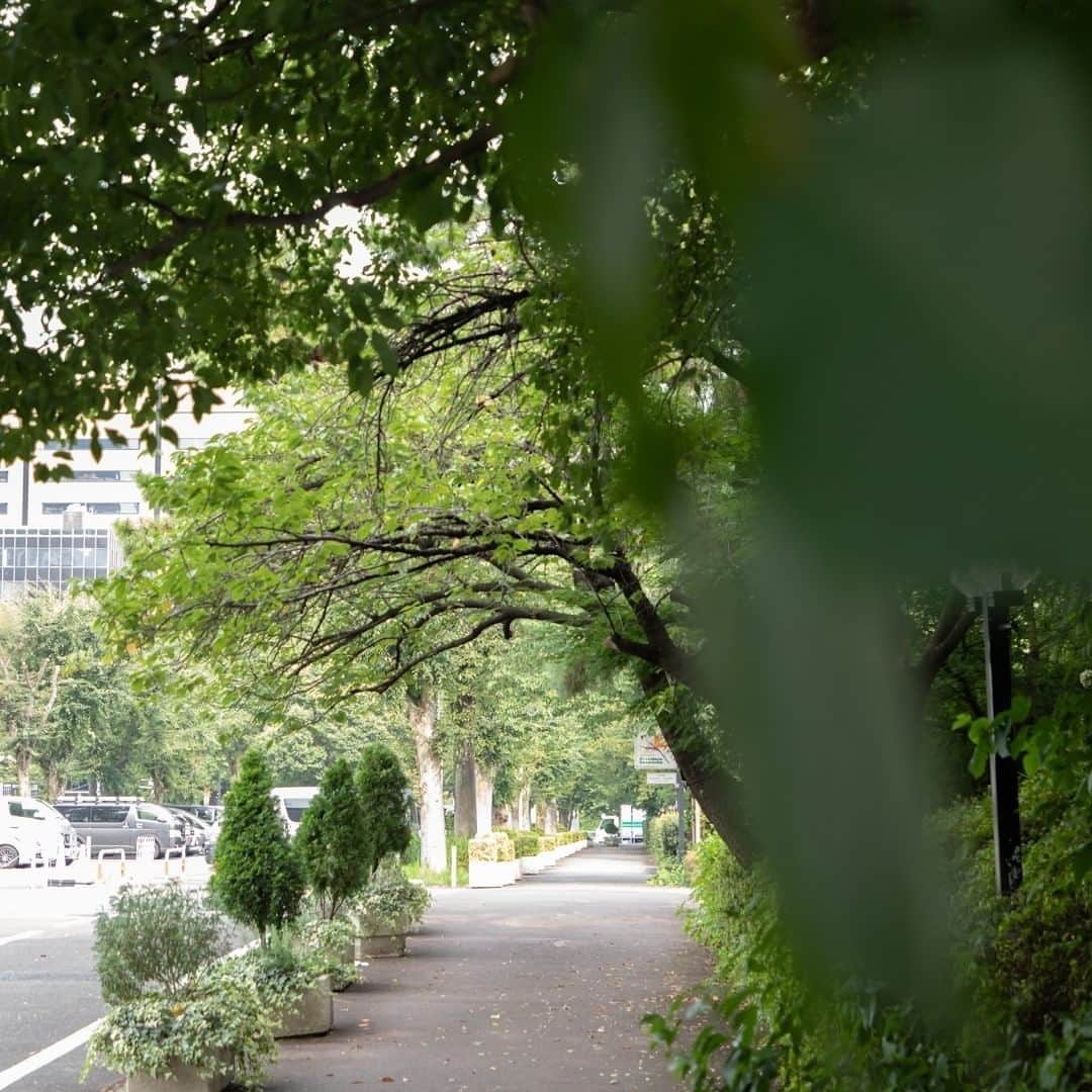 東京プリンスホテルさんのインスタグラム写真 - (東京プリンスホテルInstagram)「緑に囲まれた東京プリンスホテル。⁣ 都会の中にいながらもリフレッシュさせてくれます。⁣ ⁣ Tokyo Prince Hotel surrounded by greenery.⁣ Settle in for a refreshing break while you're still right in the city.⁣ ⁣ Share your own images with tagging @tokyoprincehotel⁣ —————————————————————⁣ #tokyoprincehotel #princehotel #hotel #hotels #tokyohotel #TokyoTower #shibakoen #tokyo #japan #travel #trip #travelgram #traveling #japantravel #beautifulhotels #hotellife #nature #walk #naturephotography #東京プリンスホテル #プリンスホテル #ホテル #東京タワー #芝公園 #東京 #日本 #旅行 #自然 #散歩」10月7日 12時00分 - tokyoprincehotel