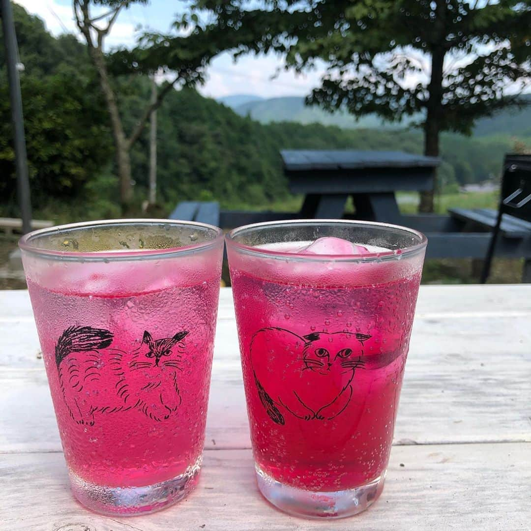 福田多希子さんのインスタグラム写真 - (福田多希子Instagram)「この夏も赤紫蘇ジュースを何度も作りました﻿ 動画は7月か8月に撮って載せるのをすっかり忘れていました﻿ 毎年、赤紫蘇ジュースにする為だけに植えています😊﻿ ﻿ 先日、今期最後のジュースを作る為に収穫しようと思ったらクリスマスツリーの飾り並みに、カメムシがついていたので、気持ち悪すぎて諦めました﻿ ぎゃーー😱﻿ ﻿ それにしても赤紫蘇は身体に良いしお肌にも良いし、めちゃくちゃ大好きな飲み物です♡ お砂糖の量はすごいけど…  今年もう飲めないのが残念すぎるー😖また来年‼️﻿ ﻿ #赤紫蘇﻿ #赤紫蘇ジュース﻿ #赤じそ﻿ #美容﻿ #美肌﻿ #健康﻿ ﻿ ﻿ ﻿」10月7日 12時15分 - yomeponta