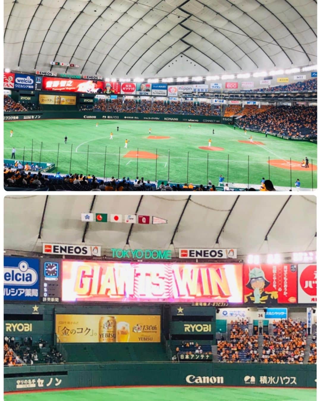 佐藤由季さんのインスタグラム写真 - (佐藤由季Instagram)「2020.10.6. これまた野球史に刻まれる一戦⚾️ 一日となりました！ まさに菅野投手デー 開幕13連勝 通算100勝達成 本当におめでとうございます㊗️ しかも偉大な記録、節目を東京ドームで🥺 橙魂デーでもあったので よりオレンジ色に包まれた場内は 光り輝いていました✨ 楽な試合というのは一試合もありませんが 我らがエースなら絶対にやってくれる！ 選手もファンも誰もが信じるこの空気 だからこそ援護点も生まれ 応援のボルテージも最高潮に達し 感動を共有することが出来るんですよね😌 ・・・ このまま止まらなくなりそうなので（笑） 続きは今日の#日テレジータス #giantsPP  14:00〜巨人練習中「直生」 17:00〜GIANTSプレゲームショー ベイスターズファンの友人も 菅野投手のピッチングや魂に 心打たれたと言っていました🥺 これからもジャイアンツへはもちろん 野球ファンの皆さんが気持ち良く応援出来る リポートを目指していきたいです🎤 #東京ドーム  #歴史的瞬間  #偉業達成  #開幕連続勝利  #プロ野球新記録達成  #おめでとうございます  #菅野智之 投手 #開幕13連勝  #通算100勝  #チーム一丸 #ファン一丸  #橙魂2020  #菅野投手 グッズを集めてみました #いくつあるでしょうか 笑 #直生  #プレゲームショー  #場内リポート  #フリーアナウンサー  #佐藤由季  #丸ポーズ  #ハクション  #何しようかな 🤔笑」10月7日 12時16分 - yukisato0710