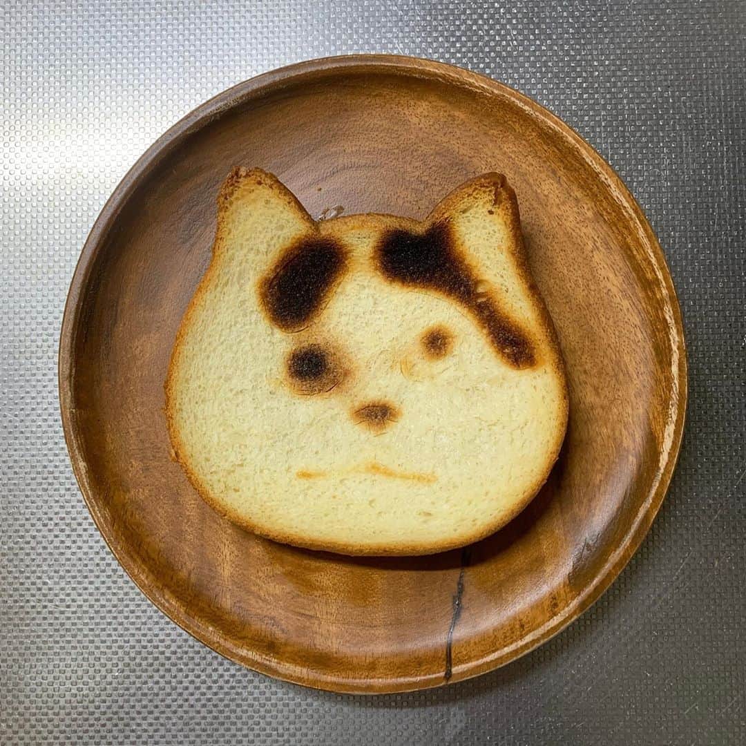 Kachimo Yoshimatsuさんのインスタグラム写真 - (Kachimo YoshimatsuInstagram)「ナナクロパン。 アルミホイルでカバーして、 焦がす所だけ切り抜いて焼いてみた。 昨日のよりは、かなり良い！ #うちの猫ら ＃猫 #ねこ #cat #ネコ #catstagram #ネコ部 #nekonekoshokupan #ねこねこ食パン http://kachimo.exblog.jp」10月7日 12時39分 - kachimo