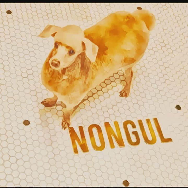 DJ DRAGONのインスタグラム