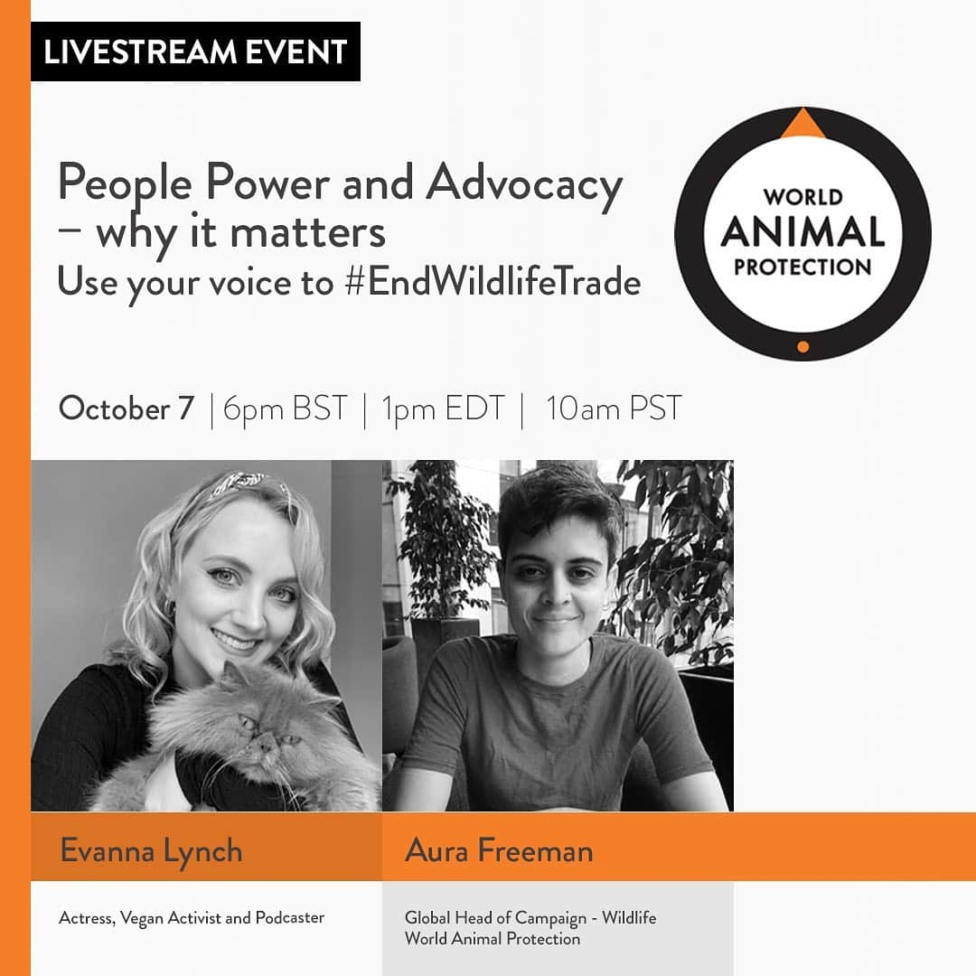 イヴァナ・リンチのインスタグラム：「Doing an IG live discussion with Aura Freeman of @world_animal_protection in 2 hours (6pm GMT) to discuss their campaign calling for an end to the global wildlife trade. I’ll be asking her all about the global wildlife trade, how it affects animals and people and why protecting wildlife is so important. Feel free to tune in! #EndWildlifeTrade 🧡」