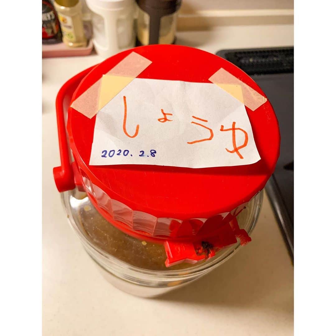のインスタグラム：「週末から副鼻腔炎の膿が奥歯の神経を刺激するという痛みにやられて、仕込んでるお醤油をかき混ぜることも全然できずにいたけど、ようやく復活しました。  まだ疲れると少し痛みが出るので、自分の体の声にすごく耳を澄ましながら生活しています。今の私はどれくらい走るとどれくらい疲れるのか。これまでは疲れようが何だろうが、体のことは割と無視して突っ走ってきていて。それでも別に何とかなっていたのだけど、いい加減それを変えなさいと言われてるような気分でした。  でもどれだけ体調が悪くても花の水やりと、メダカと川魚の餌やりだけは気になってやっていた自分と、私の体調を見てこれは大変！と協力して家のことをやってくれた兄妹の姿は今回の収穫のひとつ。  通常モードだけどこれまでよりもゆっくりな通常を作っていけたらと思っています。  それにしても、副鼻腔炎になったことのある人の多さにびっくり！みなさん、レスありがとうございました🙇‍♀️この辛さをわかってくれる人がいたことにかなーり支えられてました！そしてアドバイスも助かりました💕  季節ごとに再発してるという人も多くて早くもビビってますが😂お互いご自愛で🙏」
