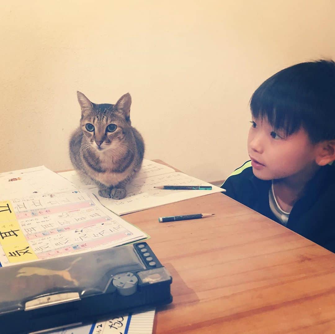 のインスタグラム：「With Toco. . 学校終わって、 自分で鍵をあけて、 宿題をしておく！ というルーティーンがやっとやっとできるようになってきました。  今日はおじゃま虫に陣取られてましたが(^^;」