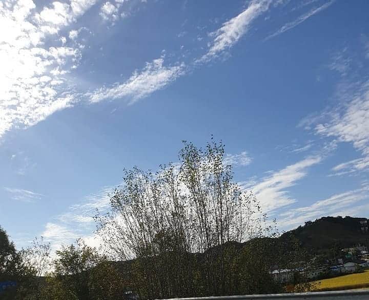 キム・ミギョンさんのインスタグラム写真 - (キム・ミギョンInstagram)「넋을 놓고 올려다 본 하늘.」10月7日 23時35分 - kim_mee_kyung