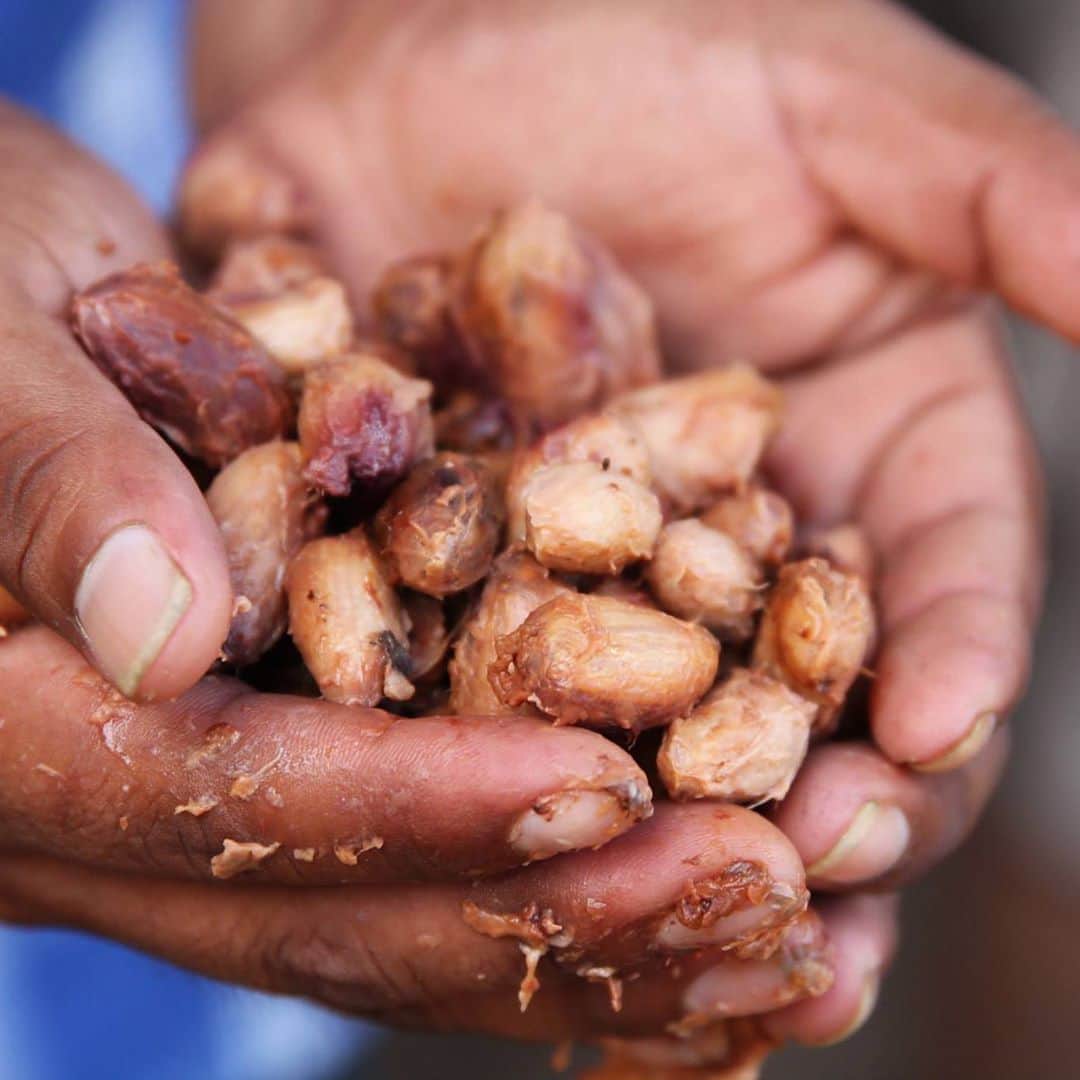 ダンデライオン・チョコレート・ジャパンのグルメインスタ