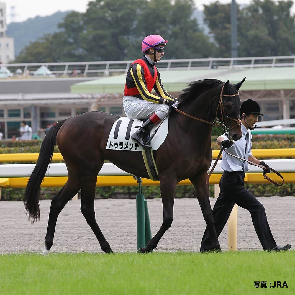 のインスタグラム：「メイクデビュー列伝。  #2014年10月第二週目には #3歳牡馬クラシック二冠 を達成した #ドゥラメンテ が #デビュー #今年に子供たちがデビューしたよ #パパとしても頑張ってほしいね #うまび」