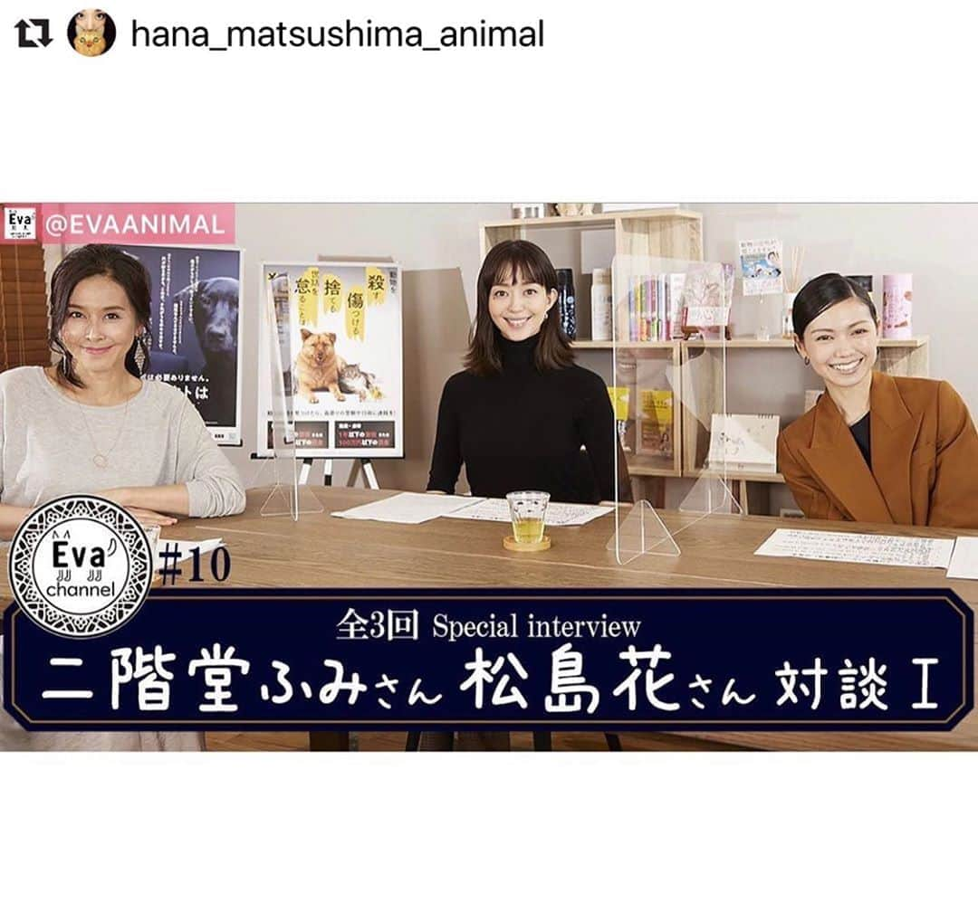 松島花さんのインスタグラム写真 - (松島花Instagram)「: @hana_matsushima_animal を リポストします🐈♡🐕　 杉本彩さんのYouTube "Eva channel"に ELLEの対談で意気投合した二階堂ふみさんと 一緒に出演させて頂きました。 多くの方に見て頂きたいです。 よろしくお願いします。  #Repost @hana_matsushima_animal with  @make_repost ・・・ : 私の尊敬する… @sugimoto_aya0719 杉本彩さんが代表を務める  @evaanimal 動物環境福祉協会EvaのYouTube 〝Evaチャンネル〟に出演させて頂きました🐾 . @fumi_nikaido 二階堂ふみさんもお誘いし3人で 動物愛護について…特にこの度は〝数値規制〟に ついて話ました。 . 本日は第10回ですが…  対談は第11回、12回と続きます。 是非、ご覧下さい🙏🏻 . #花アニマル #公益財団法人動物環境福祉協会eva  #杉本彩 さん #二階堂ふみ さん #evaチャンネル #動物愛護 #数値規制 #動物のための数値規制を  #本日10月7日は愛護部会です . @evaanimal #Regram #Repost via @PackeDApp #PackeDApp  第10回Evaチャンネル更新しました！ 今回のEvaチャンネルは、なんと！ 女優の二階堂ふみさんとモデルの松島花さんにお越しいただき、　スペシャルインタビューをお届けします！ 活動のきっかけやお自身が一緒に暮らすわんちゃんの話し、　 そして数値規制についてお話しいただきました。 実際の数値のこと、そしてそれが決まるまでの難しさなど、 率直なお気持ちを語っていただいています。 スペシャルインタビューは3回に渡りお届けしていきます。 貴重な対談をみなさまぜひご覧ください！  ⭐️youtube はプロフィールからリンクしています⭐️ https://youtu.be/U3WlnuUWBZ0  #二階堂ふみ  #松島花 #数値規制 #改正動物愛護法 #環境省 #動物環境福祉協会eva #杉本彩」10月7日 15時36分 - hana_matsushima_official