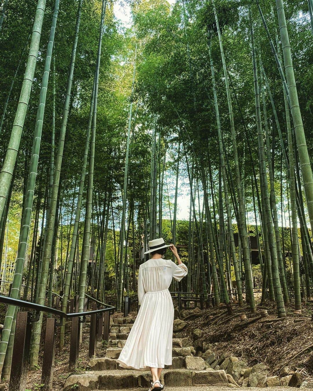 渡辺由布子さんのインスタグラム写真 - (渡辺由布子Instagram)「🎋🦌  京都を後にして私が向かったのは、 うましうるわし奈良の地。  修学旅行先だけにとどまるのは惜しいほど、古都奈良には美しい自然と文化、歴史が根付き、日本の人類史上で重要な時代の遺産や文化財が今もなお残っている。  今年はコロナの影響か、駅前のロータリーには奈良公園から逃げ出した鹿たちが餌を求めて徘徊している光景に遭遇。それもまたなんだか風情があっていいなと。  #いまふたたびの奈良 へ！  ▶︎ @yolo.style_japan  奈良公園内にOPENした隈研吾建築スモールラグジュアリーで心とカラダを巡らす和漢旅【ふふ 奈良】  💻 https://yolo.style/yolo/article/613582/  #奈良旅行 #奈良公園 #日本再発見 #竹藪 #鹿 #japantrip #NaraTrip  #NaraPark #bamboo  #hotel #staycation #tbt🔙📸   📍 @fufu_nara #Nara #🇯🇵」10月7日 16時20分 - watanabe_yuko