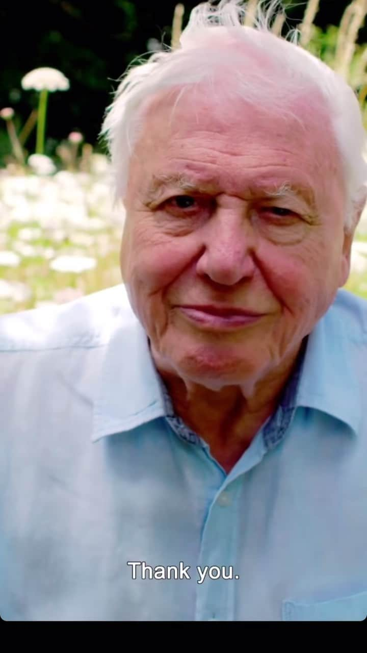 クララ・パジットのインスタグラム：「If you haven’t yet you must watch ‘A Life on Our Planet’ (Netflix)  . My hero, Sir David Attenborough, tells it how it is in his ‘witness statement’ in the most simple terms with the most calming, familiar voice we all so love.  . We MUST rewild the earth NOW - it’s achievable, I urge you to watch and pass it on to your friends and family. It’s not all doom and gloom there is a way if we ACT NOW 🥰🌎💚 . #rewild #rewildearth #davidattenborough #ourhero #simplesteps #pleasewatch #wedonthavemuchtime #actnow WHOS SEEN IT? PLEASE WATCH & RESHARE spread @davidattenborough ‘s message」