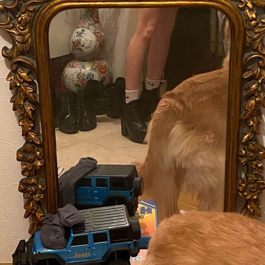 のインスタグラム：「👢🐶」