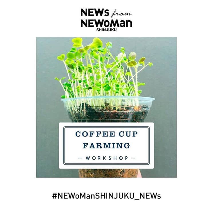のインスタグラム：「マイクロファーミング  ワークショップ 2020.10.18sun @ NEWoMan Shinjuku  MiNi by FOOD&COMPANYが所属するNEWoMan新宿では、環境への配慮あるライフスタイルの実現に向けて、使用済みのドリンクカップに種まきをするマイクロファーミング ワークショップを開催。ニュウマン新宿のショップにてドリンクをお買い上げのうえ使用済みカップをご持参いただくと、どなたでも無料で参加いただけるそうです。  今回ワークショップで使用する土に、MiNiのスタッフが廃棄食材で作ったコンポストを混ぜてご提供いただくことになりました。このコンポストは、店頭で販売しているオニバスコーヒーさん　@onibuscoffee のテイクアウトドリンクを作った際に出てしまうコーヒーカスをメインに加えたコンポストです。詳細はNEWoMan ShinjukuのSNSアカウントで告知されていますので、是非チェックしてみてくださいね！  【日時・場所】 10月18日(日) 14:00～/14:30～/15:00～/15:30～ ※所要時間30分、各回定員6名。 1F NEWoMan Lab.横  #NEWoMan #マイクロファーミング」