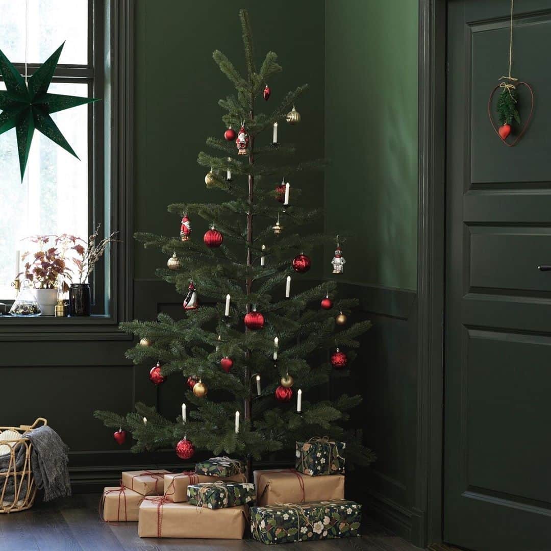 IKEA JAPANさんのインスタグラム写真 - (IKEA JAPANInstagram)「クリスマスまであと2か月、クリスマスツリーの準備から始めよう🎄﻿ ﻿ 初めてのクリスマスツリーなら、定番のゴールドを。華やかさと上品さがあり、後から他の色も足しやすく、アレンジも簡単。﻿ クリスマスらしさを存分に満喫するなら、温かみがある赤色を。少ないデコレーションでも存在感のあるツリーがつくれます。﻿ ﻿ 自分好みのクリスマスツリーで、部屋を彩りましょう。﻿ ﻿ #イケア #IKEA #ikeajapan #クリスマス #クリスマスツリー」10月7日 17時00分 - ikeajapan