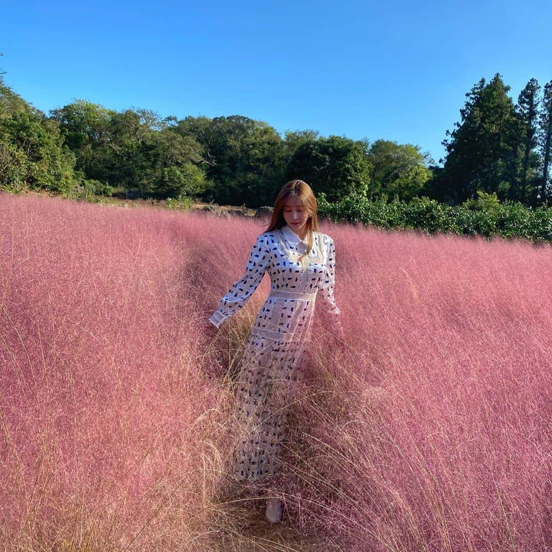 ハン・ジウンさんのインスタグラム写真 - (ハン・ジウンInstagram)「- 🌷🌷🌷🌷🌷 - - #서광리123 #jeju #jejuisland」10月7日 17時20分 - jieun_han