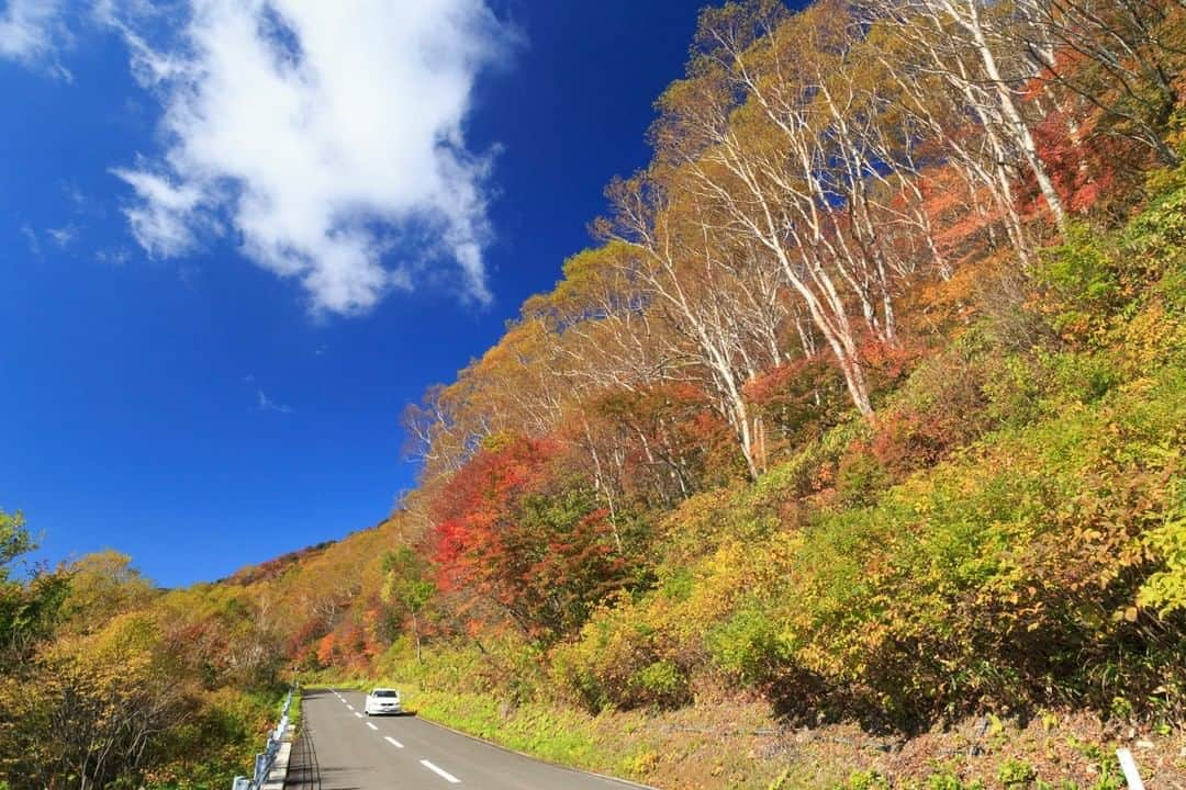 福島県のインスタグラム