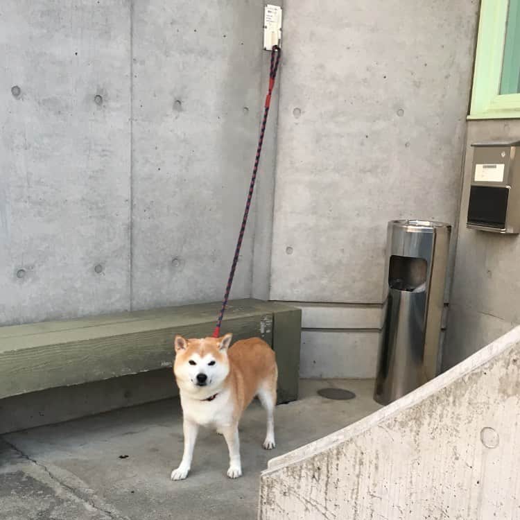 HALFBYのインスタグラム