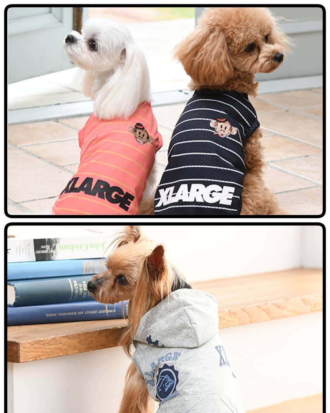 Caluluさんのインスタグラム写真 - (CaluluInstagram)「. . 「再入荷のご案内」 . #xlarge #xlarge_snap #xlargejp #エクストララージ #xgirl #xgirljp #xgirlstages #エックスガール #お揃いの服 #ペアルック #ドッグウェア #犬服ブランド #カルル #calulu #ファッション図鑑」10月7日 17時29分 - calulu_dogwear