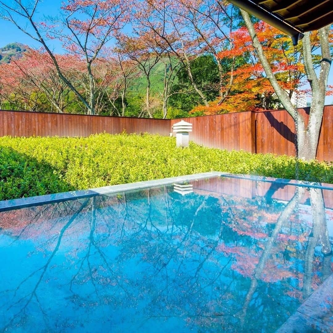 のインスタグラム：「【秋の施設紹介】 界 鬼怒川 - KAI Kinugawa  とちぎ民藝が光る木漏れ日の湯宿。益子焼や黒羽藍染、大谷石などが館内に散りばめられ、木々に囲まれた中庭や客室からは四季の景色が望めます。春は桜並木を望む花見風呂、秋は紅葉を愛でながらの湯浴みも楽しめます。龍王峡の伝説にちなんだ龍神鍋もお勧めです。  Tochigi crafts,hot springs and garden strolls  ▼おすすめのポイント▼ ①とちぎ民藝が光るモダンな湯宿 ②ヤマモミジが彩る中庭 ③紅葉狩りが楽しめる露天風呂付客室  #HoshinoResorts #星野リゾート #Kai #界 #KaiKinugawa #界鬼怒川 #Tochigi #Nikko #KinugawaOnsen #栃木県 #日光市 #鬼怒川温泉 #日光旅行 #NikkoTrip #日光旅行 #Nikkohotel #luxuryresort #JapaneseHotels #Ryokan #Hotspring #Onsen #travelJapan #ig_Japan #JapanTravel」