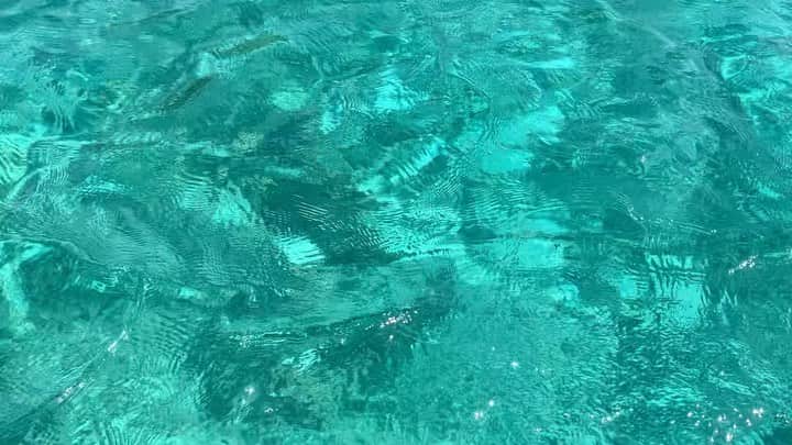 LuCyCoのインスタグラム：「夏を取りもどすよ in 10月🐚🐠🌴  #阿嘉島  #阿嘉島ブルー  #ボートシュノーケル #沖縄 #自然が好き  #自然でパワーチャージ  #アーシング #浄化」