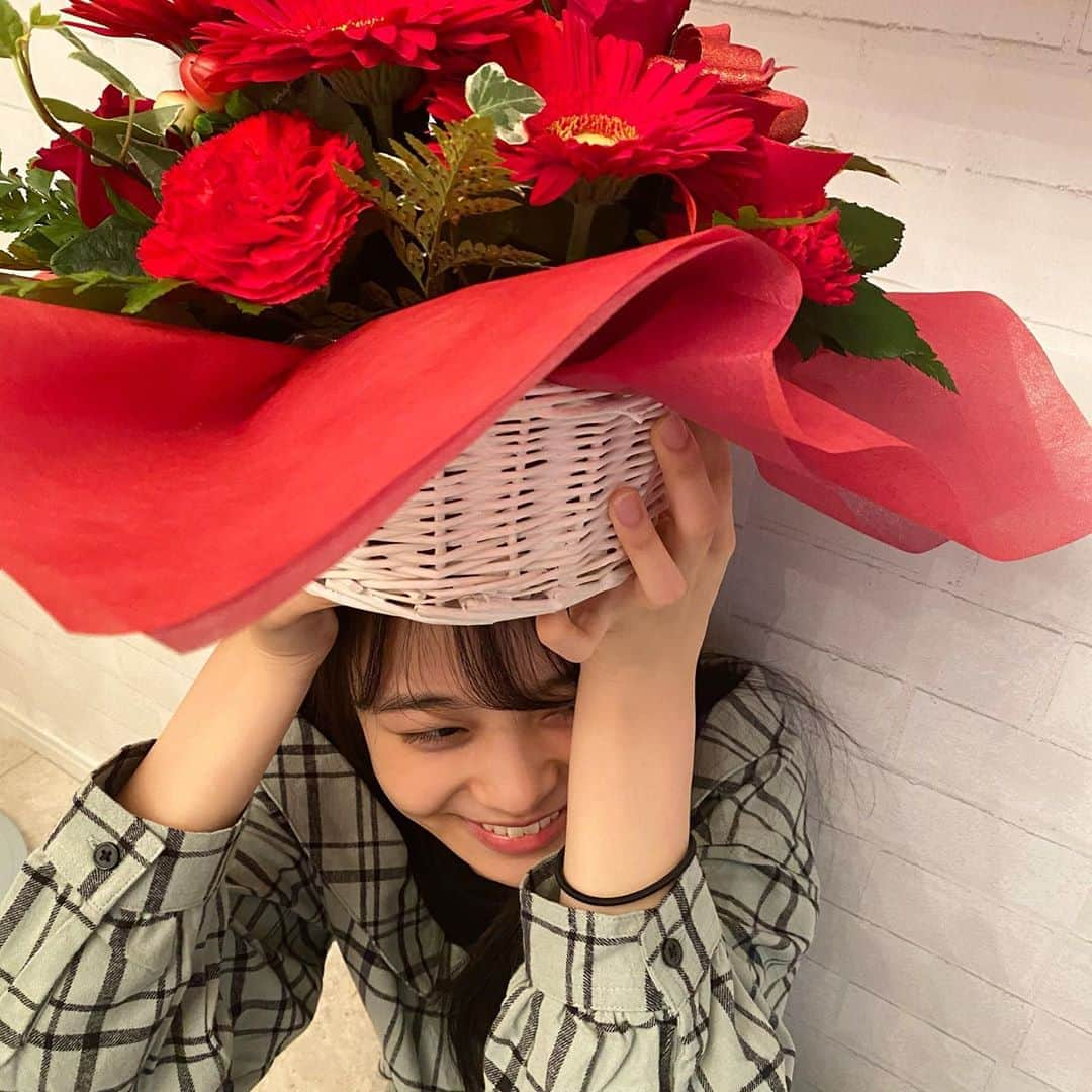 林芽亜里さんのインスタグラム写真 - (林芽亜里Instagram)「🎀﻿ ﻿ 真っ赤なお花さん達🌹﻿ とてもとても良い香りでございます♡﻿ ﻿ ﻿ #ニコラ #アンラブ #and24lovely #林芽亜里」10月7日 17時43分 - meari__hayashi