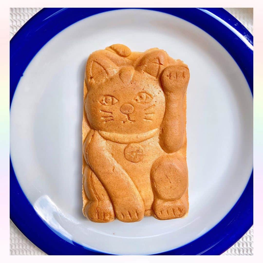 長柄ひろみさんのインスタグラム写真 - (長柄ひろみInstagram)「#taiyaki 😺 ⋆ にゃ〜ん😸 また可愛いものを発見してしまった😻❤️ 招き猫たい焼き😆✨ どら焼きかも🤔？ ⋆ 中には餡子とクリームがたっぷり詰まっているので、結構ずっしり🤤🍵 クリームだけのもありました🤗 ⋆ 運よ、来い来い🥳🧧 ⋆ ⋆ #招き猫 #たい焼き」10月7日 17時49分 - aoi_asahi