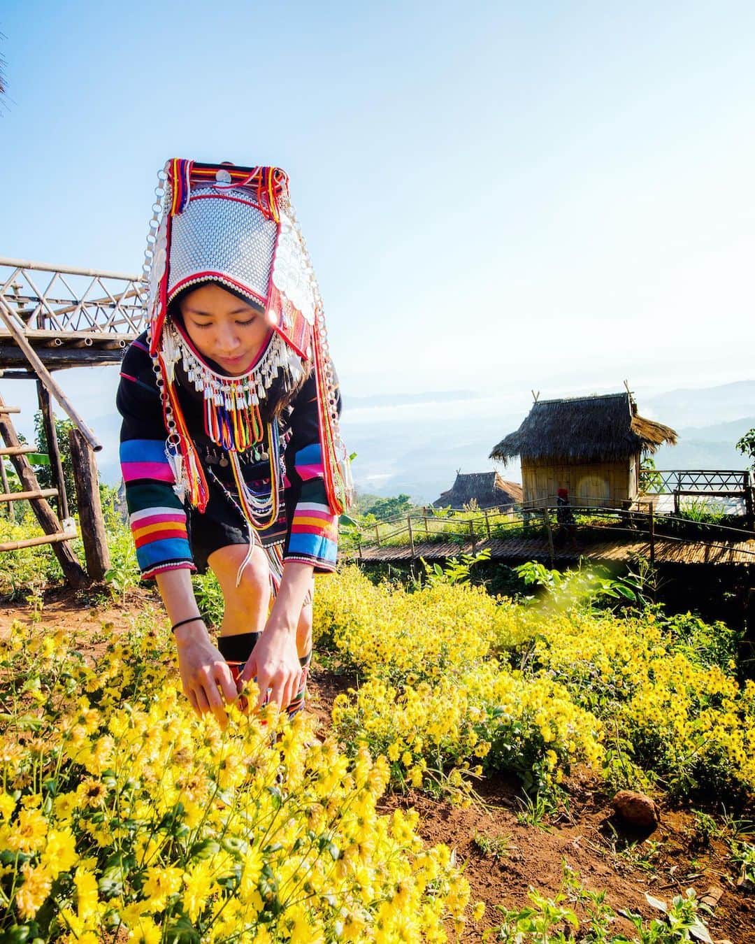 タイ国政府観光庁さんのインスタグラム写真 - (タイ国政府観光庁Instagram)「・﻿ ／⠀﻿ タイでどこ行く❓何する❓⠀﻿ 今週の注目スポットは...🇹🇭✨⠀﻿ ＼⠀﻿ ﻿ 🌟今月のテーマ：タイ北部﻿ 📍チェンライ﻿ ⠀﻿ 今週は、古き良き文化と自然が共存するタイ最北の地、「チェンライ」に注目👀✨⠀ ﻿ ﻿ 隣国のミャンマー、ラオスと接するチェンライには、かつてタイ北部を統治していた「ランナー王朝」最初の都がありました👑﻿ その歴史から今なおランナー文化が色濃く残っており、当時の遺跡群や寺院が点在しています💁﻿ ﻿ 隣国との境界にある「ゴールデン・トライアングル」周辺には、近年高級リゾートもオープン👏💕﻿ また自然豊かな山岳地帯には多くの山岳民族が暮らしており、村を訪れると彼らの暮らしを垣間見ることができます😌﻿ ﻿ ＜アクセス＞﻿ バンコクから飛行機で約1時間半✈️﻿ ﻿ #タイ #チェンライ #ゴールデントライアングル #メコン川 #ルアック川 #川下り #ランナー王朝 #ランナー文化 #歴女 #こんなタイ知らなかった #もっと知りタイ #タイを知りつくす #旅好きな人と繋がりたい #旅行好きな人と繋がりたい #海外旅行 #チェンライ #チェンライ旅行 #thailand #chiangrai #chiangraitrip #goldentriangle #maekhongriver #ruakriver #amazingthailand #thailandtravel #thailandtrip #thai #thaistagram #lovethailand」10月7日 18時17分 - amazingthailandjp