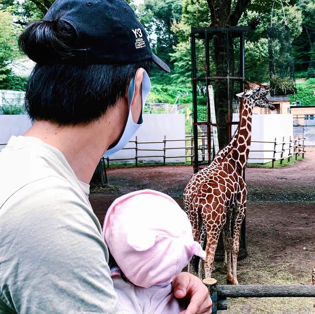 クレヨンだいちゃんのインスタグラム：「🦒🦒🦒 ㅤㅤㅤㅤㅤㅤㅤㅤㅤㅤㅤㅤㅤ 動物園に家族3人で 初めて行ってきた👀 ㅤㅤㅤㅤㅤㅤㅤㅤㅤㅤㅤㅤㅤ 動物を見たら目で追って 見れるようになってたー！ ㅤㅤㅤㅤㅤㅤㅤㅤㅤㅤㅤㅤㅤ けどほとんどは 動物みてる自分の顔を ずっと見てた。笑 ㅤㅤㅤㅤㅤㅤㅤㅤㅤㅤㅤㅤㅤ 動物園で1番喜んでたのは まさかの地図を持ってたとき。 ㅤㅤㅤㅤㅤㅤㅤㅤㅤㅤㅤㅤㅤ 地図食べてました。笑 ㅤㅤㅤㅤㅤㅤㅤㅤㅤㅤㅤㅤㅤ ㅤㅤㅤㅤㅤㅤㅤㅤㅤㅤㅤㅤㅤ  #こどものいる暮らし  #4ヶ月 #動物園デビュー #多摩動物園 #めっちゃ歩くから覚悟して行ってね #授乳室も多くて安心 #いつか野生の動物を見るためにアフリカとか一緒に行きたい ㅤㅤㅤㅤㅤㅤㅤㅤㅤㅤㅤㅤㅤ ㅤㅤㅤㅤㅤㅤㅤㅤㅤㅤㅤㅤㅤ ㅤㅤㅤㅤㅤㅤㅤㅤㅤㅤㅤㅤㅤ」