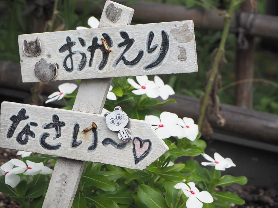 伊藤桃さんのインスタグラム写真 - (伊藤桃Instagram)「【#のと鉄道 #能登鹿島駅 】 のと鉄道の旅、次はどこに降りようかな·····と思っていたのですが、可愛らしい駅舎に惹かれ、お隣の能登鹿島駅でぶらり途中下車🎶 * 春には満開の桜が咲くことで有名な能登鹿島駅。 2枚目: 駅舎もまた可愛らしいピンク色の#木造駅舎 でした🌸 かわいらしい小屋のよう🥰屋根には風見鶏もいました^^ 駅のすぐ目の前に七尾湾があるのが分かるでしょうか·····？ 海の目の前の駅でもあるのです(,,･ω･,,) * 3~6枚目: 降りたのは私一人。 でも、手入れが行き届いていて、 地元の方たちの愛が沢山伝わる、温かい駅でした(*´˘`*)♡ てるてる坊主かわいい✨ 梅雨時期には、てるてる坊主列車というのも走っているそうです🥺 * 7枚目: 伝言板ならぬメッセージボードも！ 由美さんとは·····。笑 8枚目: これまた#昭和レトロ 🥺 無人駅のため、何かあったらこの直通電話？で穴水駅に連絡するそう😳 * 9.10枚目: この大きい木が桜なのかな？ 春にはホームも満開になり、花見イベントも行われるそうです😌 この桜たちは、昭和7年·····#旧国鉄 七尾線が開通した時に、お祝いで地元の方たちが植えたものだそう。 国鉄からJR、そしてのと鉄道へと変わりゆく中を、地元の方の想いがつまったこの桜は見守り続けていたのかとおもうと·····ぐっときますよね☺️ いつか春にまた訪れたいな·····(*´˘`*)♡ ✂ーーーーーーーーーーーーーーーーーーーーーーーーーーーーーー✂ 能登鹿島駅におりたのはもう1つ気になるスポットがあったからでした。 お次はそちらの投稿になりますです😘 #国鉄時代 #北陸旅行 #能登半島 #昭和の雰囲気」10月7日 18時34分 - itomomo_tetsu