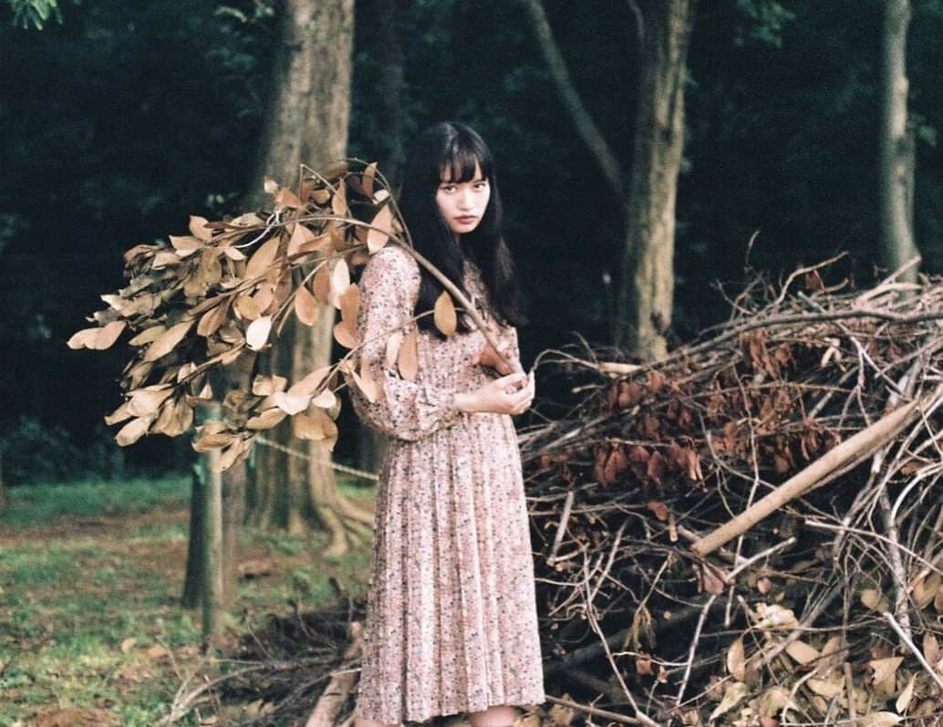 shihori.kathleenのインスタグラム：「. むかしむかし﻿ 静かな静かな森の奥深く🦌🍂🌲」