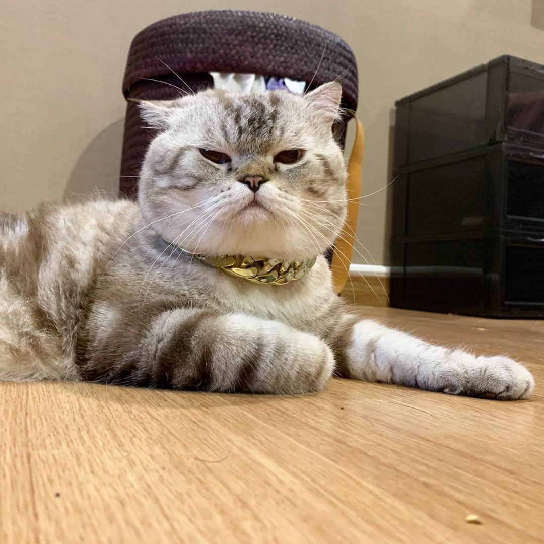 Chepoのグルメインスタ