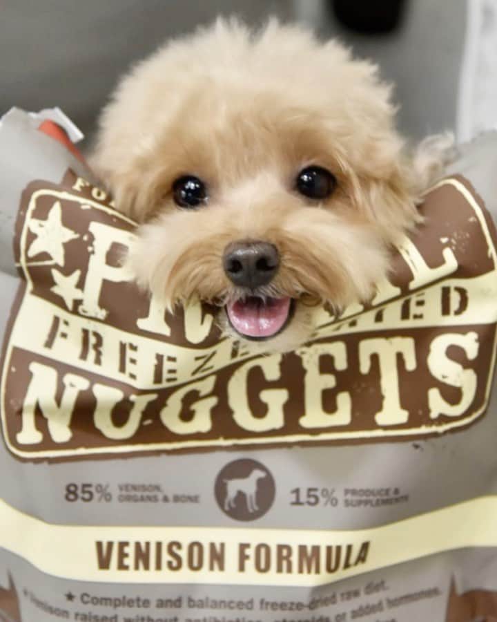 Truffle??松露?トリュフのインスタグラム