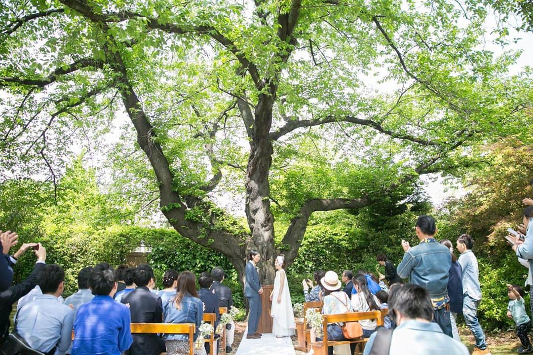 ラクラリエールのグルメインスタ