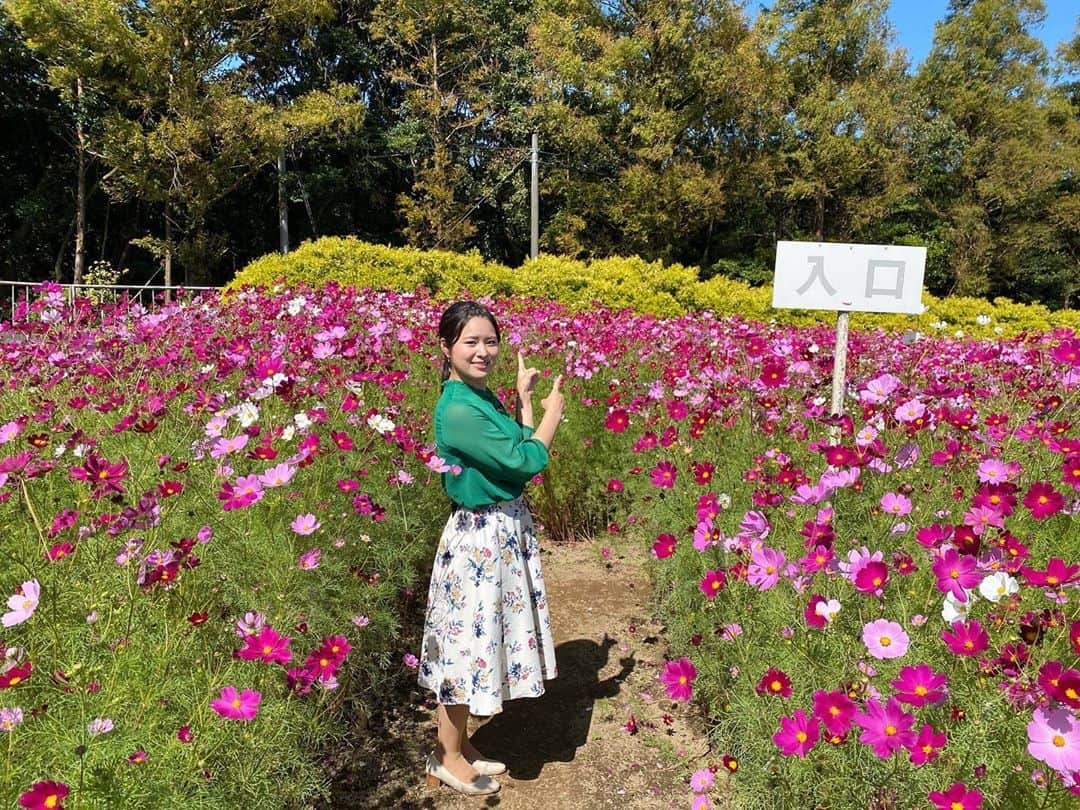 宮本佳奈のインスタグラム