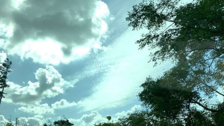 チン・ソヨンのインスタグラム：「#거짓말☁️」