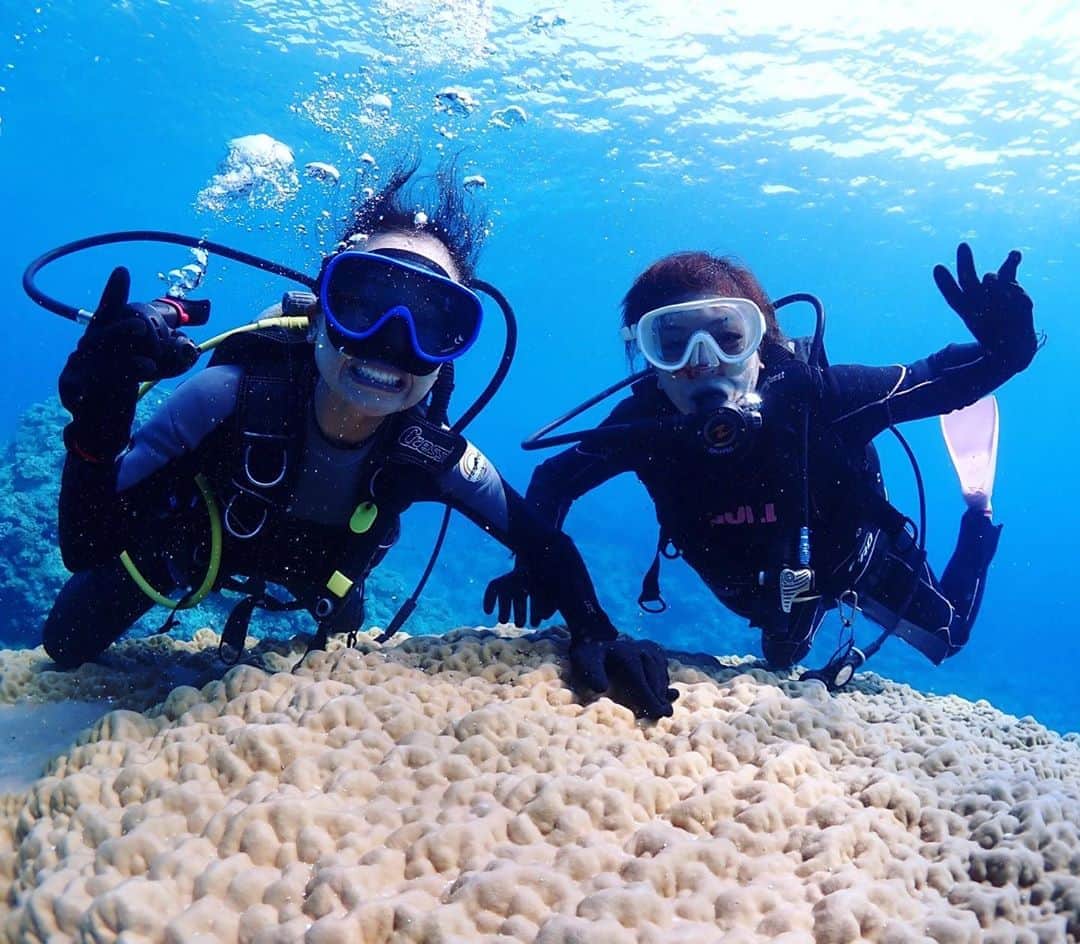 呉屋ありささんのインスタグラム写真 - (呉屋ありさInstagram)「. . sea paradise 🐠 . 水中でも、まぁ〜ふざける👅 . . . #sea #okinawa #kerama  #zamami  #island  #happy  #diving  #diver  #paradise #毎度体験ダイバーです #カード取れよな #リング　じゃなくて　#ドーナツ　できた」10月7日 21時16分 - arisa_goya