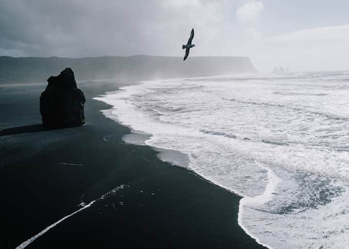 FUJIFILM INDONESIAさんのインスタグラム写真 - (FUJIFILM INDONESIAInstagram)「Pantai dengan pasir putih memang indah, tapi bagaimana dengan pantai berpasir hitam? Pantai Vik di Islandia Selatan menyuguhkan keindahan pantai dengan pasir hitam, kumpulan batuan vulkanik, dan pemandangan tebing memukau yang tidak kalah indahnya dengan pantai berpasir putih.  Captured by @olespata using FUJIFILM X-T2 Lens Fujinon XF23mmf1.4 R  #XT2_id #xf23mmf14 #GoFUJIFILM #fujifilm_id」10月7日 21時10分 - fujifilm_id