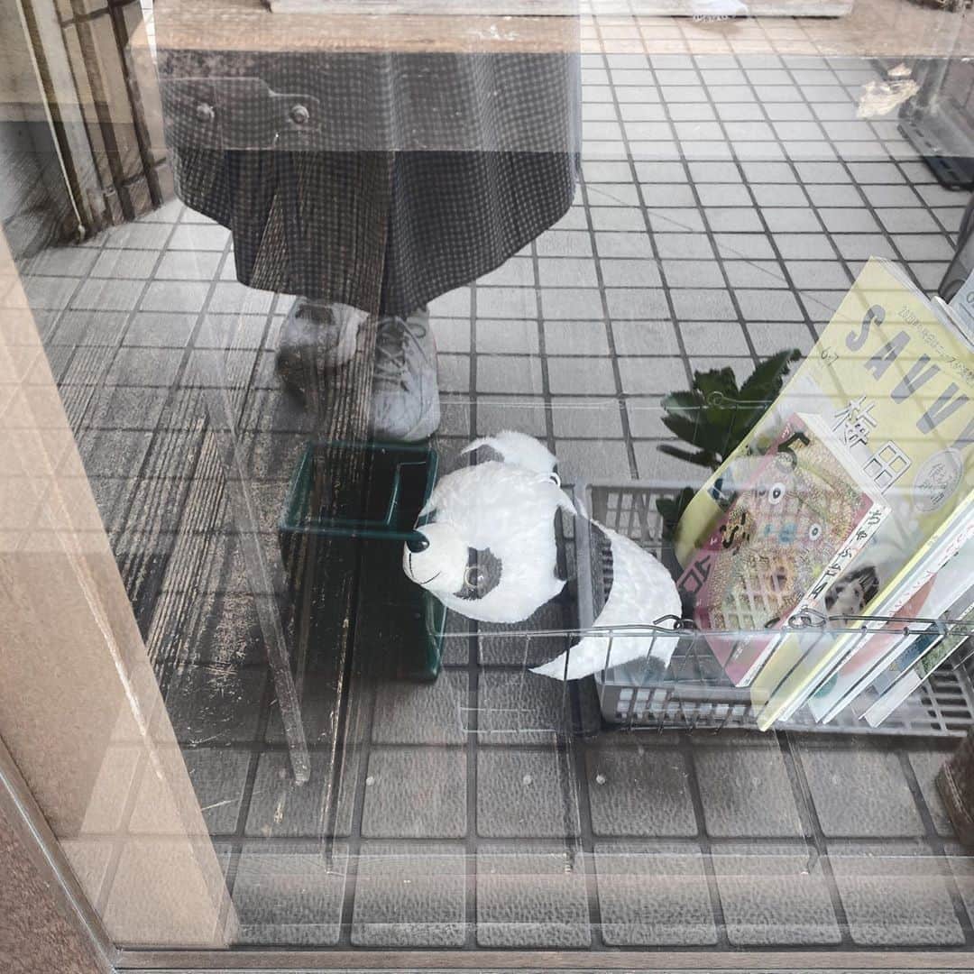 渥美友里恵さんのインスタグラム写真 - (渥美友里恵Instagram)「「🐼🥪」﻿ ﻿ 歩いていたら見つけたパンダのパン﻿ 昔からパンダを見ると😍ってなります ﻿ ﻿ #まだ夏だった日﻿ #今はすっかり秋  #ささのはパン  #パンダ #パン #かわいい #おいしい」10月7日 21時19分 - yurie_atsumi_