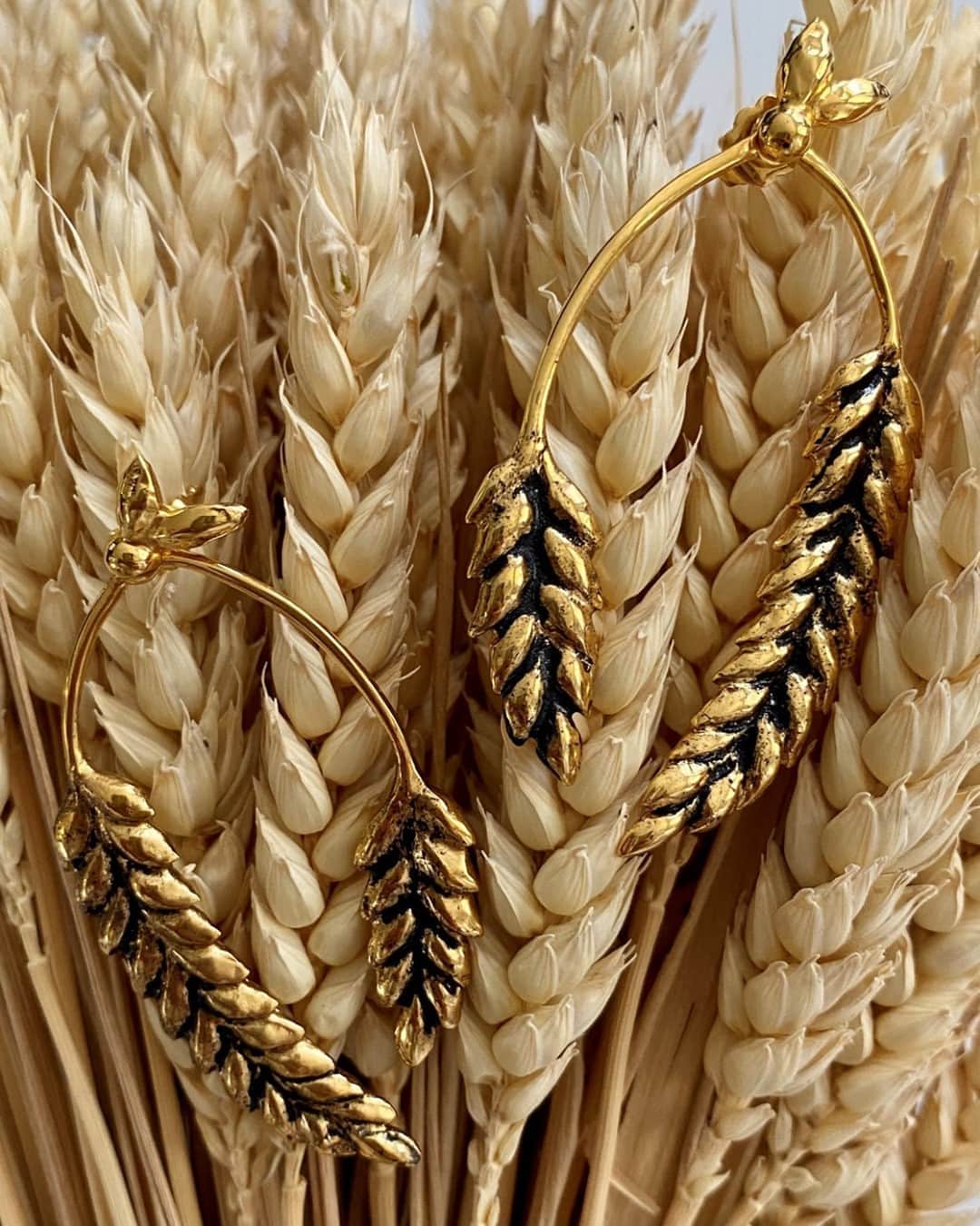 オーレリービダマンのインスタグラム：「Lost in the wheats #wheat #aureliebidermann」