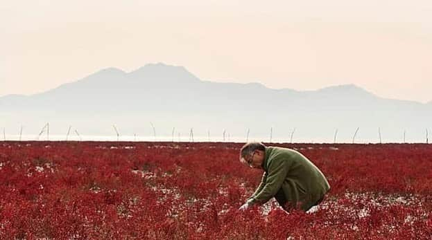 ソン・ヘギョさんのインスタグラム写真 - (ソン・ヘギョInstagram)「좋은 시간 가질 수 있게 해 주셔서 감사합니다 🌿  #영화밥정 #밥정」10月7日 21時51分 - kyo1122