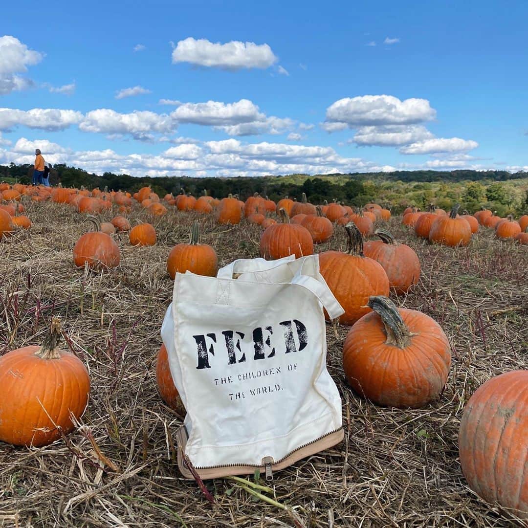 のインスタグラム：「PSL, anyone? October means pumpkin-everything season 🎃 We don’t make the rules.」