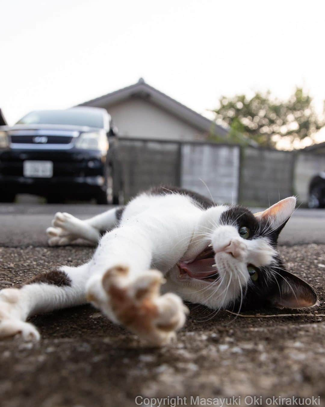 Masayukiさんのインスタグラム写真 - (MasayukiInstagram)「届きそう。」10月8日 8時34分 - okirakuoki