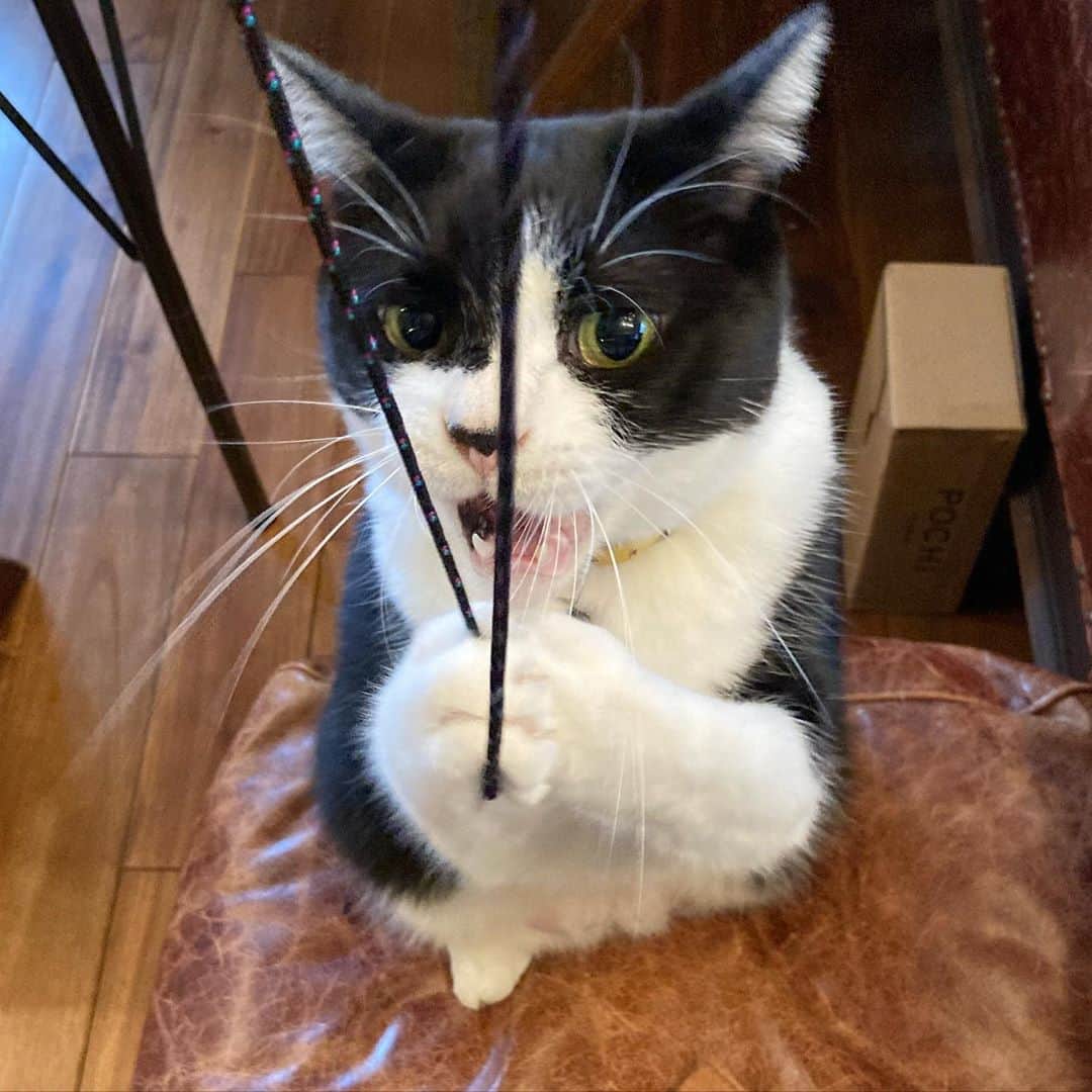 のインスタグラム：「こまめに手洗いしろよ！ #言ってない #絶対言ってない」