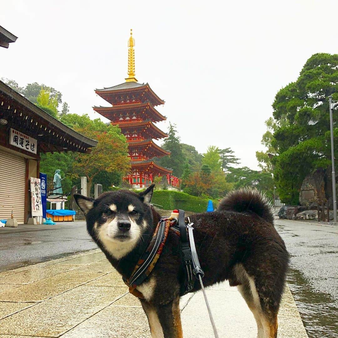 小川博永のインスタグラム