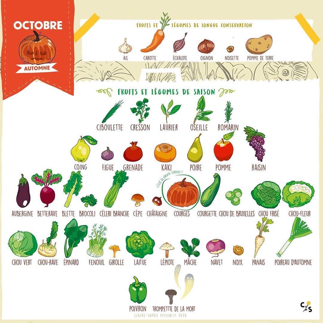 マリオン・コティヤールのインスタグラム：「#repost @clairesophiepissenlit ・・・ Champignons et courges à gogo pour ce mois d'octobre 🎃🍄 On ne le rappellera jamais assez : manger de saison c’est meilleur pour la planète, pour votre santé 🌍  #csp #clairesophiepissenlit #calendrierdesaison #fruitsetlegumes #local #octobre」